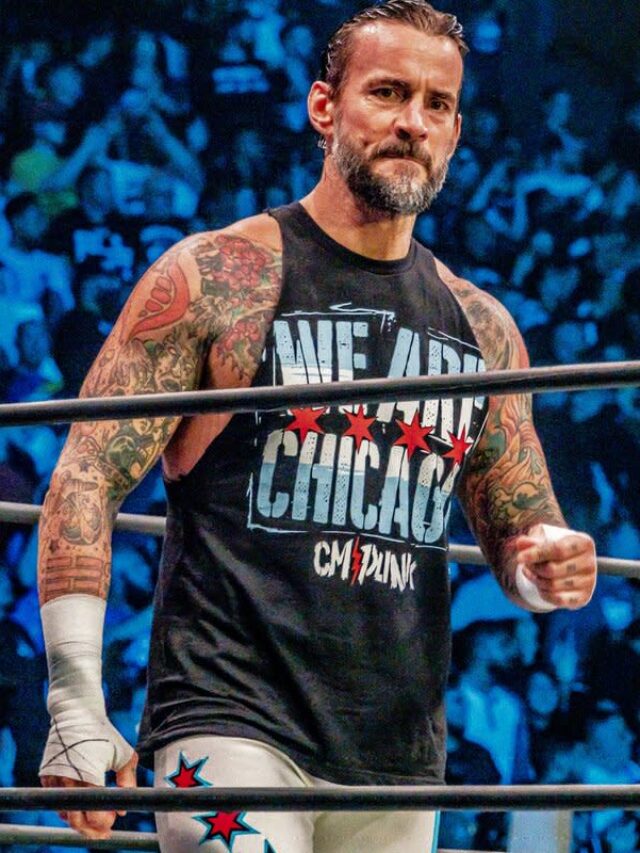 cm punk1djdjdj