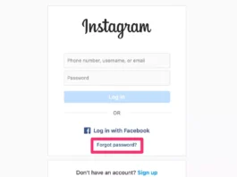 Instagram Password